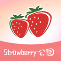 草莓公园手机版v1.0